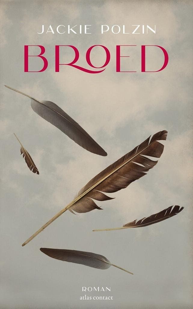 Broed (9789025470166, Jackie Polzin), Boeken, Romans, Nieuw, Verzenden