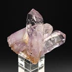 Paars amethist, grote kruisende kristallen, Mexico, Verzamelen