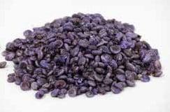 Umbonium Schelpen Violet 200 gram, Nieuw