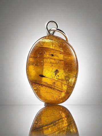 Gouden BALTIC AMBER Hanger – Zeldzame parasitoïde wesp met