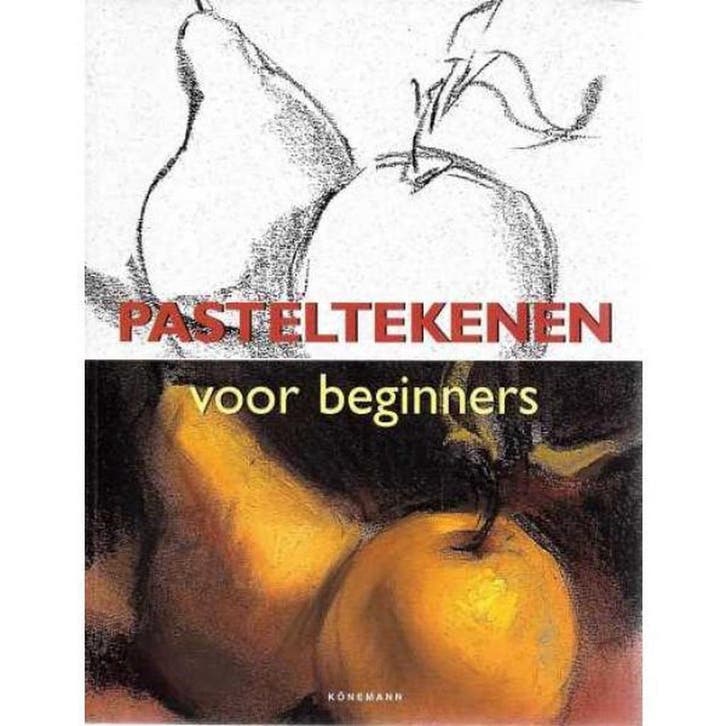 PASTELTEKENEN VOOR BEGINNERS 9783829019309, Boeken, Hobby en Vrije tijd, Gelezen, Verzenden
