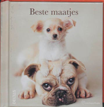 Beste maatjes 9789044724813 Rachael Hale, Boeken, Verzenden, Zo goed als nieuw, Rachael Hale