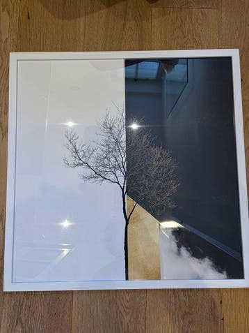 Jorge Omeñaca - The Tree Clock