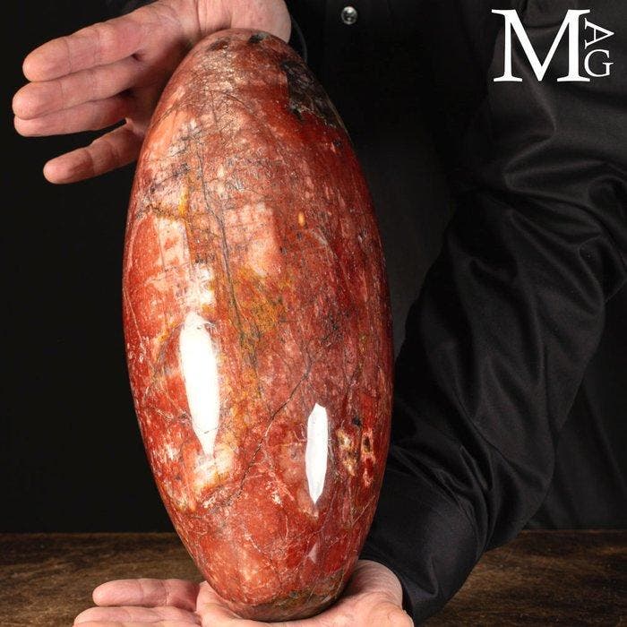 Grote Shiva Lingam - Shiva Lingam in agatiseerd versteend, Collections, Minéraux & Fossiles