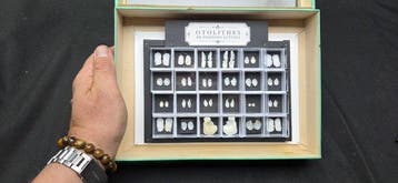 Museum Presentation ofrare rare world Fishs Otolithes - -