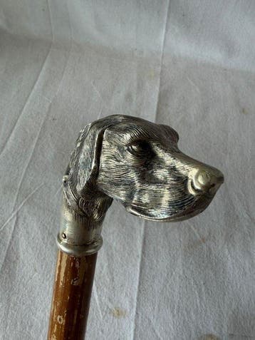 Wandelstok - .800 zilver - Stok met hondenkop