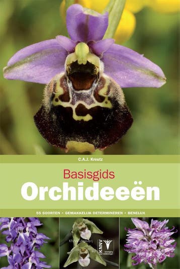Basisgids orchideeën / Basisgids / 4 9789050116015, Boeken, Verzenden, Gelezen, Karel Kreutz