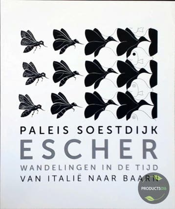 Paleis Soestdijk M.C. Escher 1 van Italie naar Baarn, Livres, Livres pour enfants | Jeunesse | 10 à 12 ans, Verzenden, Ellen Toonen