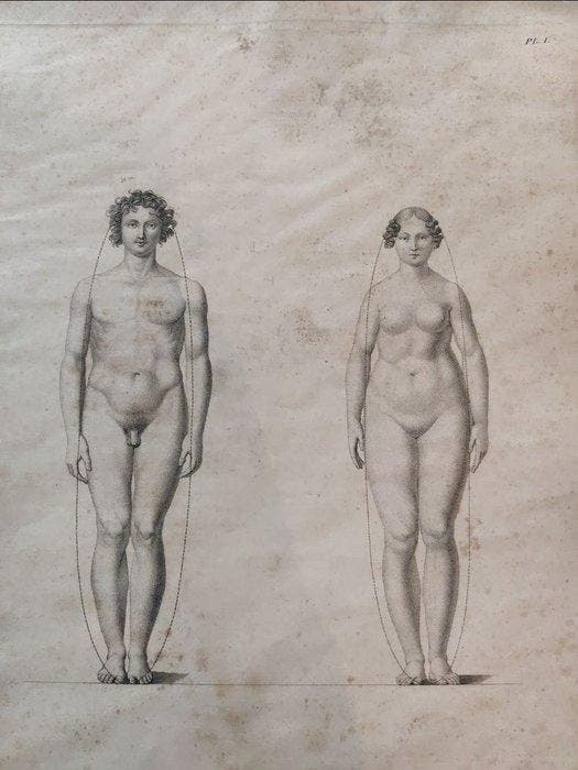 Jacques-Pierre Maygrier - Collection Atlas anatomique, Antiek en Kunst, Antiek | Boeken en Manuscripten