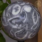 schelpsteen Bol van schelpensteen van hoge kwaliteit -, Verzamelen, Mineralen en Fossielen