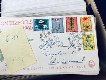 Pays-Bas - Collection / Chercheur de FDC néerlandais