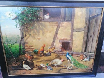 Fred Arends (1949) - Pluimvee dieren op Hollandse boerderij
