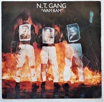 N.T. Gang - Wam Bam, Cd's en Dvd's, Verzenden, Gebruikt