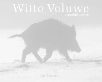 Witte Veluwe 9789081696517 Jan Vermeer, Verzenden, Gelezen, Jan Vermeer