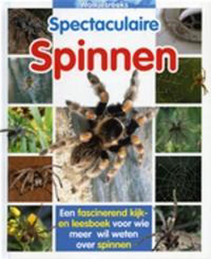 Spectaculaire spinnen / Wolkjesreeks / 13 9789037456462, Livres, Livres pour enfants | Jeunesse | 10 à 12 ans, Envoi