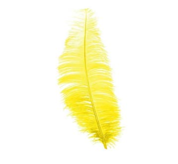 Gele Struisvogelveren 30cm 12st, Verzenden, Nieuw