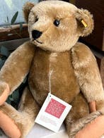 Steiff : Margeret Strong Teddybeer, 1984. EAN 0155/42 - Ours