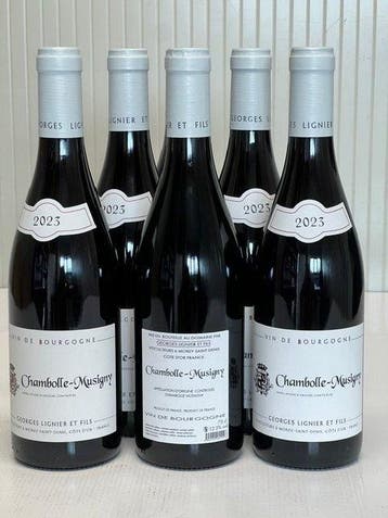 2023 Domaine Georges Lignier - Bourgogne, Chambolle Musigny