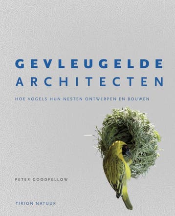 Gevleugelde architecten 9789052103075 Peter Goodfellow, Boeken, Verzenden, Gelezen, Peter Goodfellow