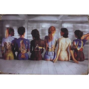 Wandbord- Pink Floyd Lady's With Albums - Dark Side Of The M, Nieuw, Poster, Artwork of Schilderij