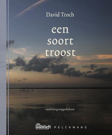 Een soort troost / Wablieft 9789464342376 David Troch, Verzenden, Gelezen, David Troch