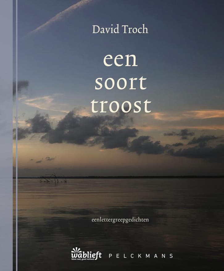 Een soort troost / Wablieft 9789464342376 David Troch, Boeken, Overige Boeken, Gelezen, Verzenden