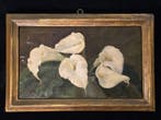 Scuola italiana (XVIII-XIX) - Bouquet aux Arums Blanc