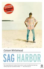Sag Harbor 9789046706299 Colson Whitehead, Boeken, Verzenden, Gelezen, Colson Whitehead