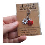 2x Gelukshanger ladybug - lieveheersbeestje - lucky charm..., Handtassen en Accessoires, Bedels, Ophalen of Verzenden, Nieuw