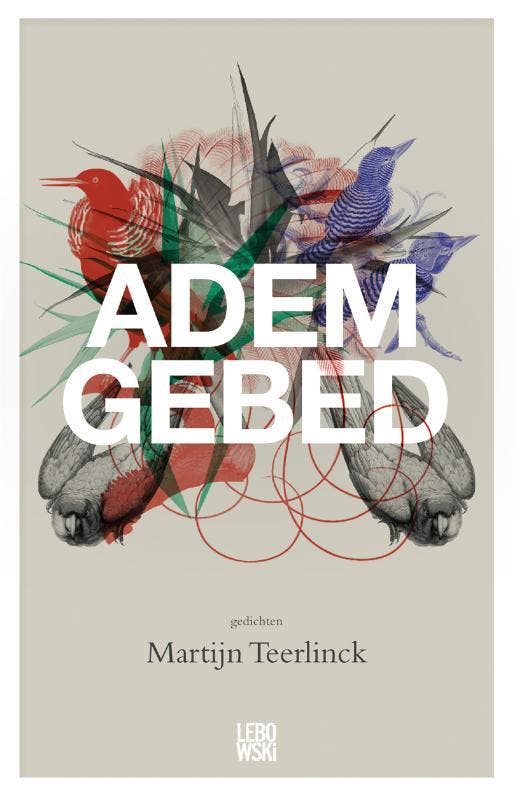 Ademgebed 9789048820672 Martijn Teerlinck, Boeken, Gedichten en Poëzie, Zo goed als nieuw, Verzenden
