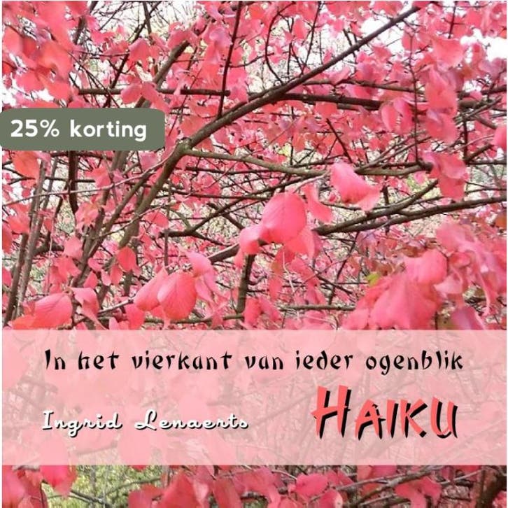 In het vierkant van ieder ogenblik 9789078459798, Livres, Poèmes & Poésie, Envoi