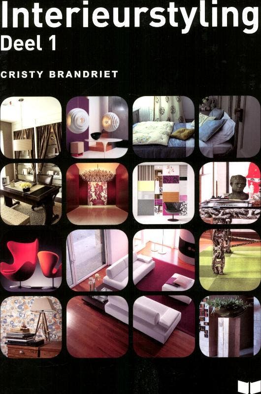 Interieurstyling 9789041509079 Cristy Brandriet, Livres, Loisirs & Temps libre, Envoi