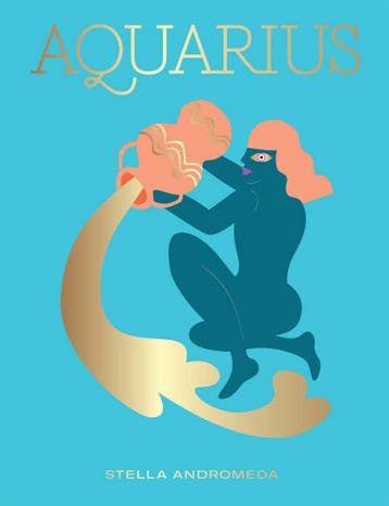 Seeing Stars: Aquarius 9781784882600 Stella Andromeda, Boeken, Verzenden, Gelezen, Stella Andromeda
