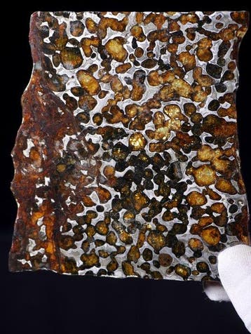Météorite de Sericho Pallasites - Hauteur : 11.5 cm -