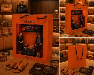 Art Stray-Nos -  Les gardiennes du sac Hermés ...