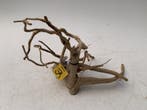 Spiderwood Selected SW1 - 48x23x23cm (Spider wood), Dieren en Toebehoren, Ophalen of Verzenden, Nieuw, Plant(en), Steen of Hout