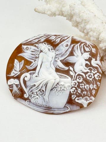 CASSIS MADAGASCARIENSIS - Cameo - Handgesneden camee