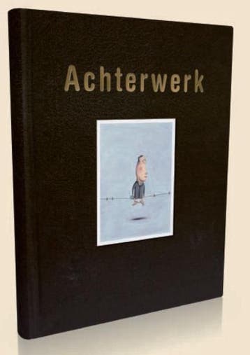 Achterwerk 9789460010545 An Olaerts, Verzenden, Gelezen, An Olaerts