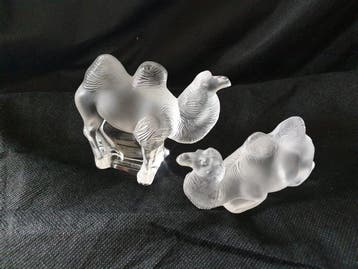 Lalique - Marc Lalique - Figuur - Chameau Tanger camel set