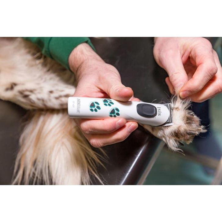 Tondeuse aesculap isis blanc, gt608, 1 batterie - kerbl, Animaux & Accessoires, Accessoires pour chiens, Neuf