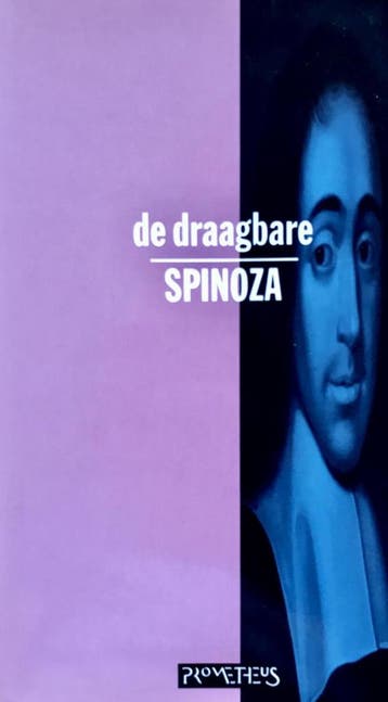 De draagbare Spinoza 9789053330876 Spinoza, Verzenden, Spinoza