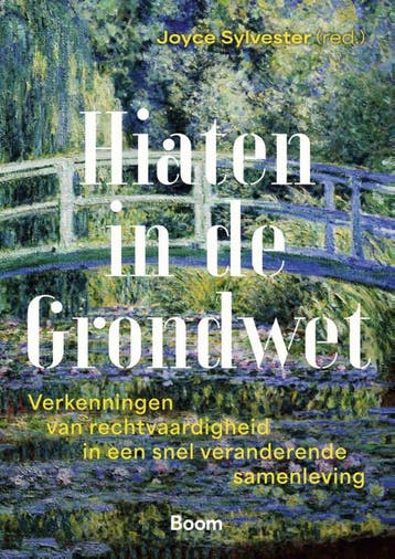 Hiaten In De Grondwet | Joyce Sylvester | Nieuw, Verzenden, Joyce Sylvester