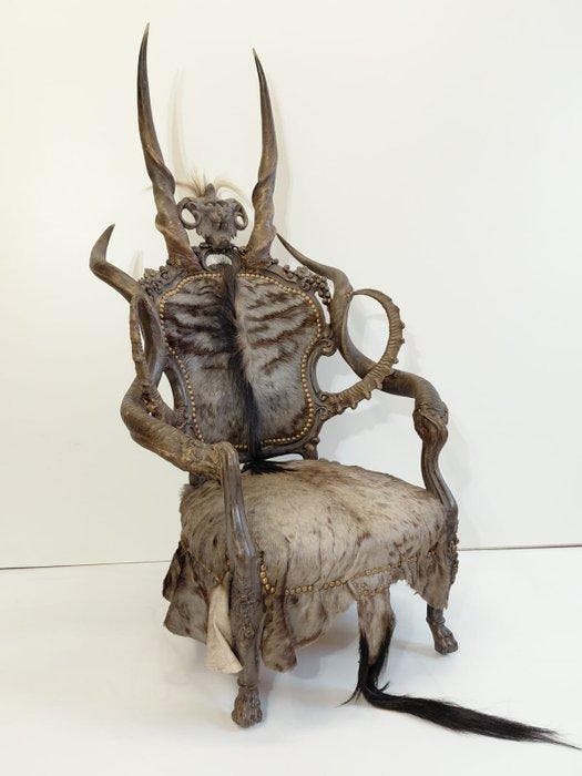 Chaise - Bois - Wildebeast Trone, Antiquités & Art, Curiosités & Brocante
