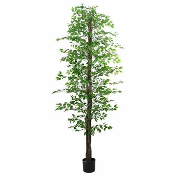 vidaXL Kunst Ficus Plant 2016 Bladeren 300 cm groen, Verzenden