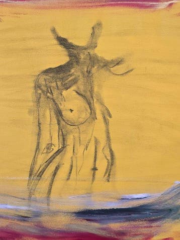 Nicole Lubbers - Desert Spirit