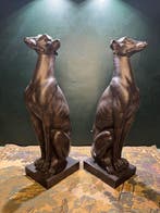 Beeld, Greyhound - Set van 2 - 55 cm - Hars