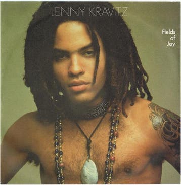 Lenny Kravitz - Fields Of Joy, Verzenden, Gebruikt