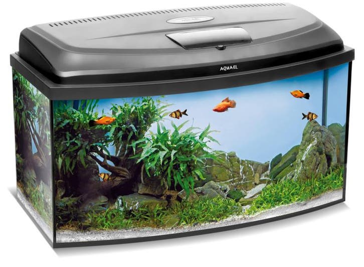 Osaka Classic aquarium 100cm panorama (Osaka Classic 2.0), Animaux & Accessoires, Poissons | Aquariums & Accessoires, Enlèvement ou Envoi