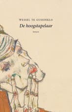 De hoogstapelaar / Ewout Meyster-cyclus / 3 9789492313638, Verzenden, Wessel te Gussinklo