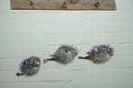 Trois poissons porc-éperons Support de corps entier pour